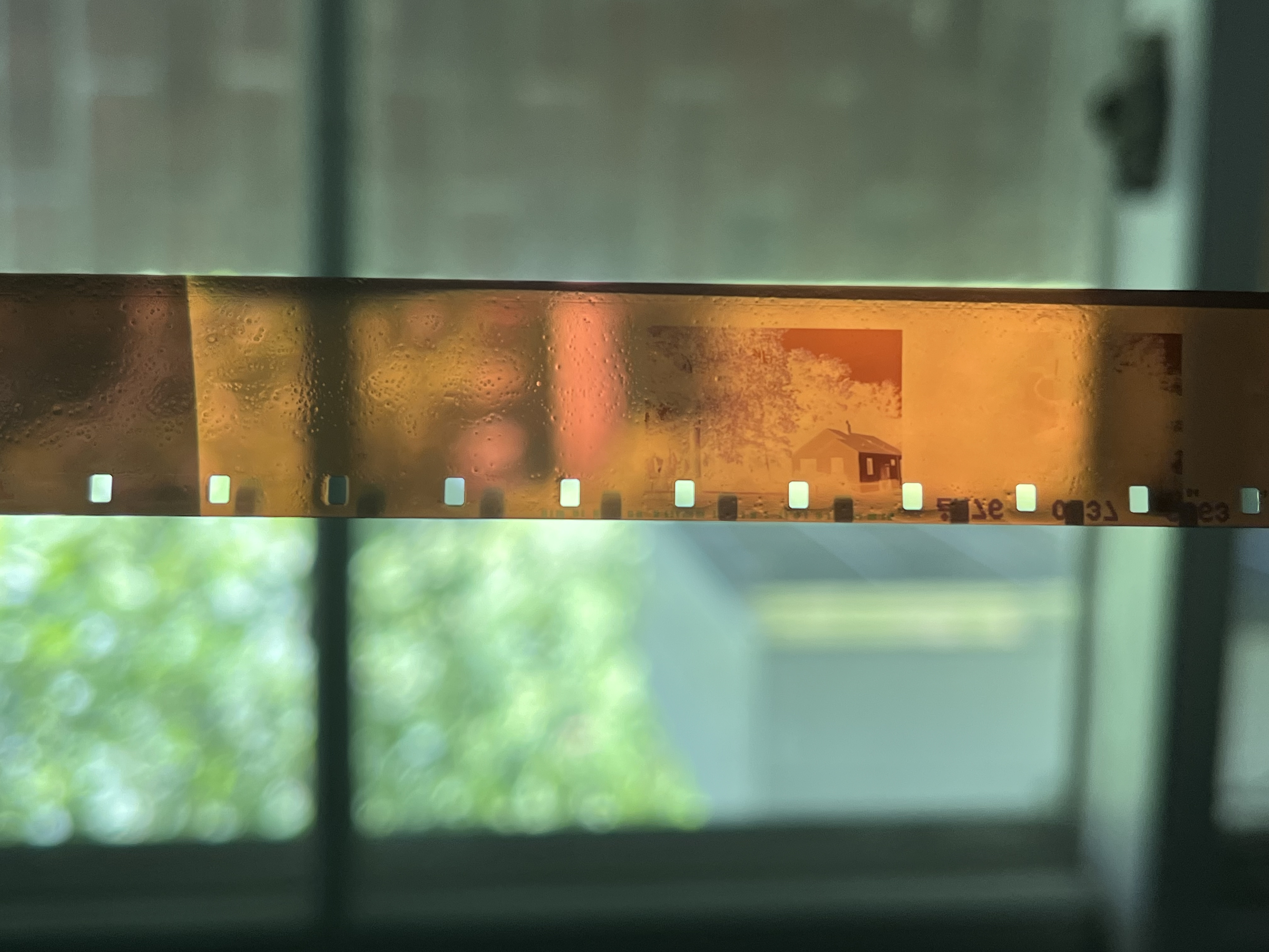 "strip of 16mm film in a window with a single negative on it, sprocket holes protrude into the image because the film was loaded in upside-down"